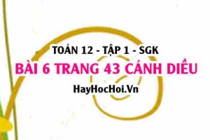 Bài 6 trang 43 Toán 12 tập 1 Cánh Diều